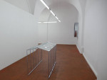 Aleksandra Ska, Pandemic project, exhibition view, Piekary Gallery, 2015