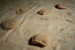Aleksandra Ska, Z, 2004, latex, screen printing, flour, wood, installation