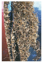 Dawid Misiorny, You nearly make me wanna die on the country side, 2012, wydruk fotograficzny, 118.9 x 84.1 cm