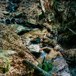 U. Kluz-Knopek, Zmierz / Twilight, Galeria Piekary 12.05-16.06.2017