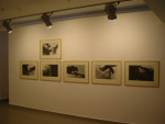 A.Pawłowski, Genesis, Galeria Piekary 20.01-29.02.2012