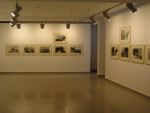 A.Pawłowski, Genesis, Galeria Piekary 20.01-29.02.2012