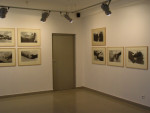 A.Pawłowski, Genesis, Galeria Piekary 20.01-29.02.2012