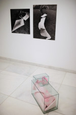 Maria Pinińska-Bereś. Imaginarium cielesności / Imaginary of Corporeality, Państwowa Galeria Sztuki, Sopot 27.01-04.03.2012