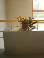 Marzena Czaniecka. Be-Longing, Galeria Piekary 11-24.09.2010