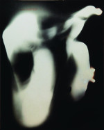 A. Pawłowski, Marduk, Mutacja XIII, 1959