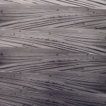 Paweł Pierściński, Stretches of Fields, from the Multiplications series, 1984