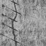 Stefan Wojnecki, Wall, 1958