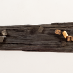 Kompozycja, fot. W. Idźkowski